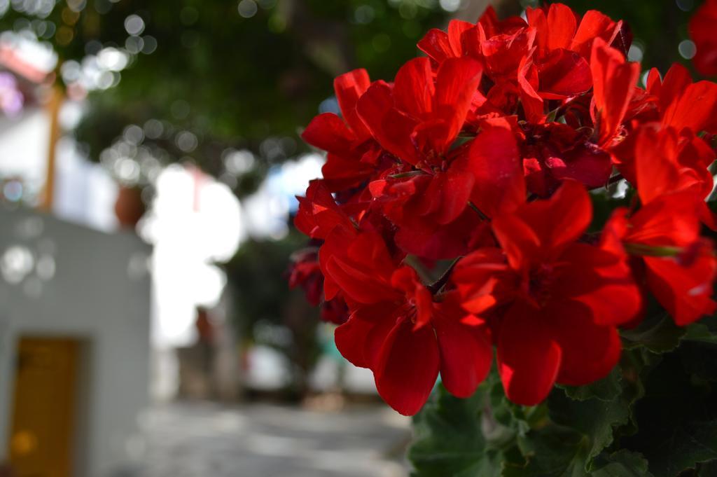 Aegean Village Páros Dış mekan fotoğraf